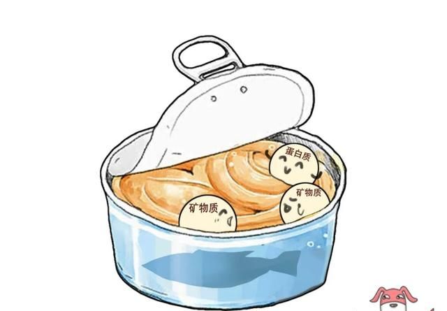 一般罐头的保质期很长是因为图8