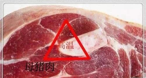 为什么母猪肉不能吃，母猪肉不能吃为什么还在市场销售图4
