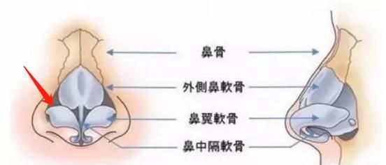 喷鼻子的怎么喷比较好图8