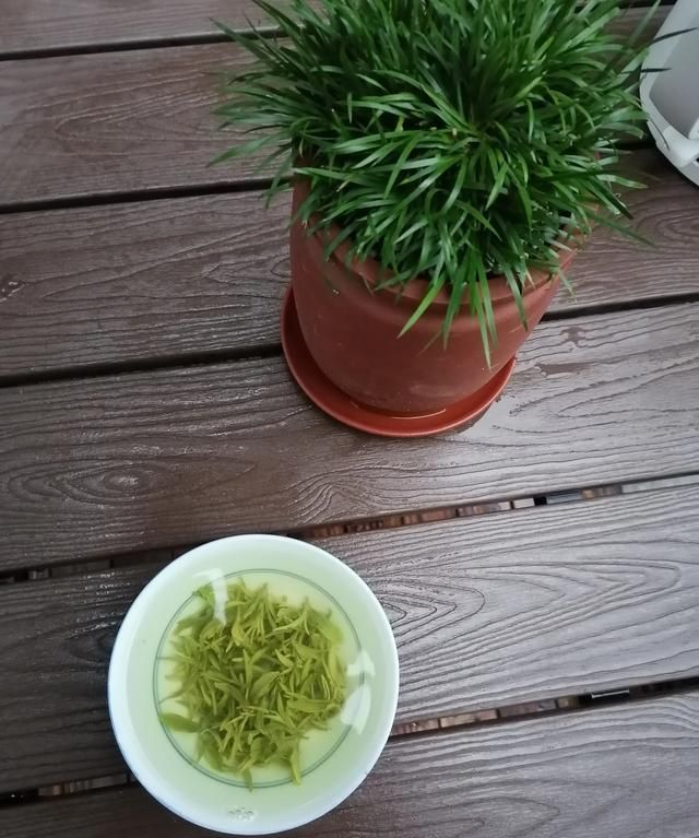 碧螺春图片，碧螺春怎么分辨真假图1
