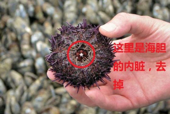 海胆炒饭，海胆外面的刺可以吃吗图2