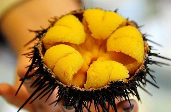 海胆炒饭，海胆外面的刺可以吃吗图3