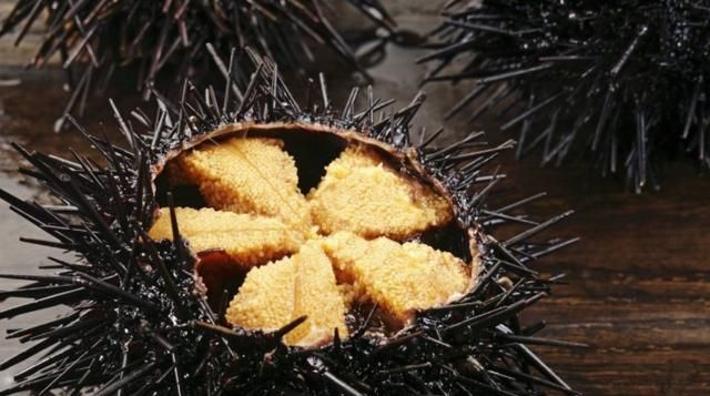 海胆炒饭，海胆外面的刺可以吃吗图9