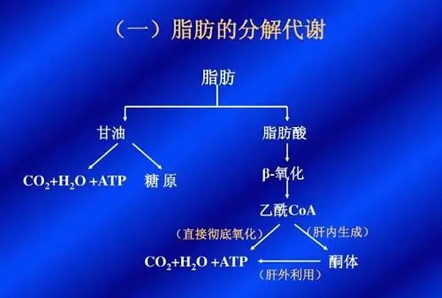 如何减臀部，如何减掉腿部和臀部脂肪图1