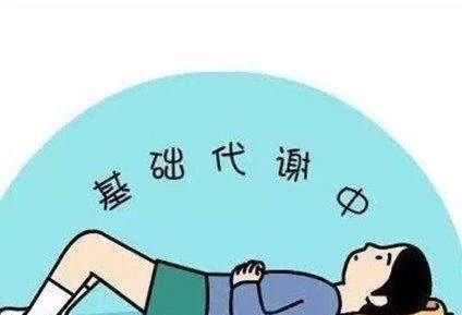 新陈代谢不好怎么办，新陈代谢不好的人怎么调理图12