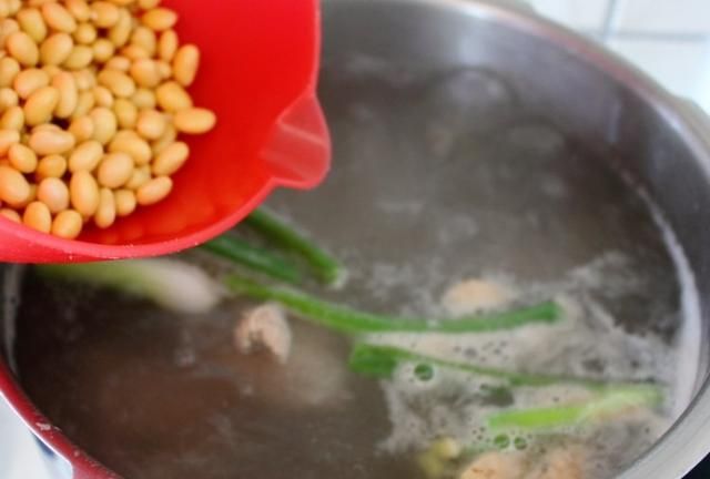 黄豆和海带能一起煮汤吗图15