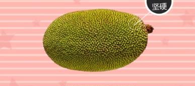 菠萝蜜怎么剥皮小窍门图1