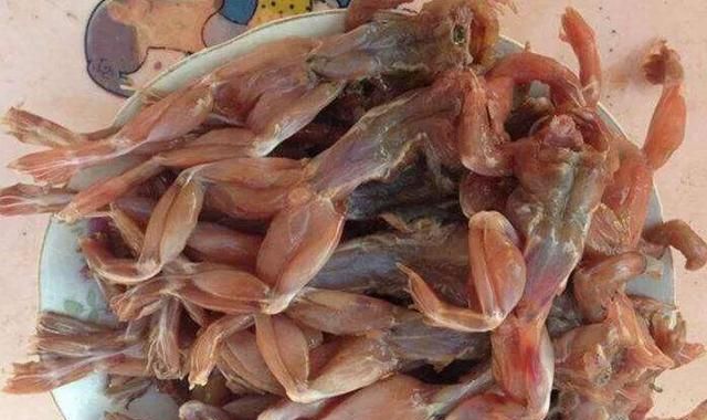 田鸡的营养价值，青蛙肉的营养价值及功效与作用图2