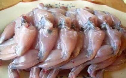 田鸡的营养价值，青蛙肉的营养价值及功效与作用图3