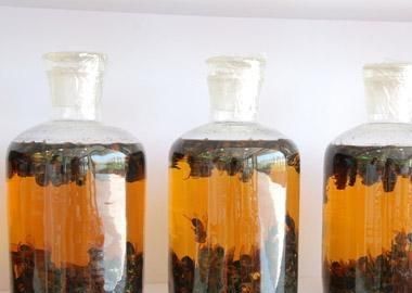 药酒怎么泡，麝香药酒怎么泡制图6