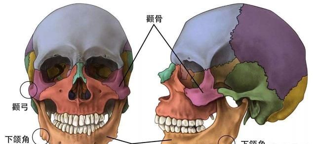 下颌骨磨骨整容图2