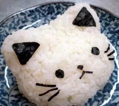 日本饭团的做法，饭团好做吗?如何做成好的饭团做法图12
