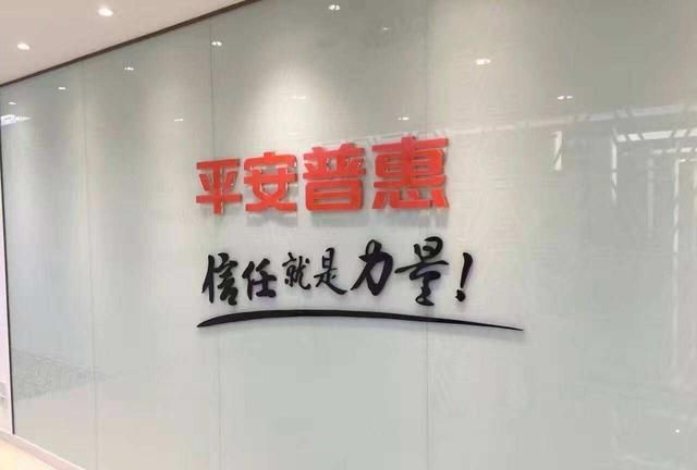 代偿是什么意思，征信上显示的保险代偿记录是什么意思啊图2