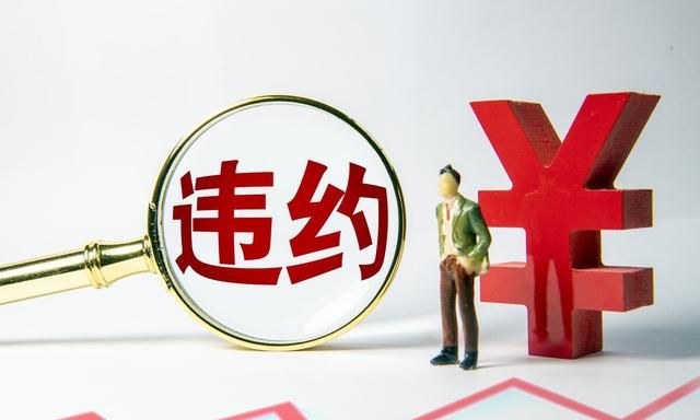 代偿是什么意思，征信上显示的保险代偿记录是什么意思啊图10