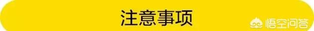 栗子蛋糕，有什么口味比较好的栗子蛋糕可以推荐一下图21