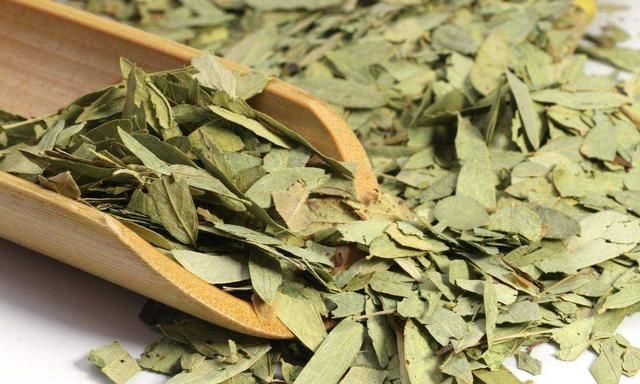 番泻叶能减肥吗，喝番泻叶可以减肥吗图1