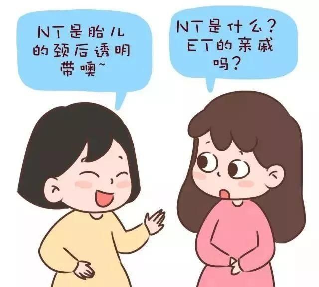 胎儿nt图1