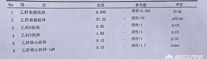 乙肝五项检查结果，乙肝五项检查单怎么看大三阳图2