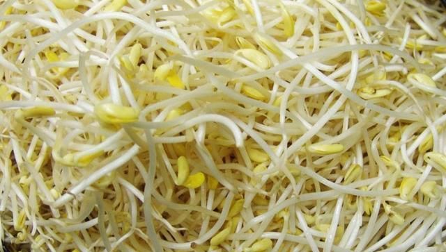 黄豆芽炒肉的做法，黄豆芽有什么好吃的做法图8