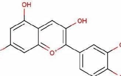 花青素的功效与作用，花青素有什么作用与功效