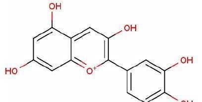 花青素的功效与作用，花青素有什么作用与功效图1