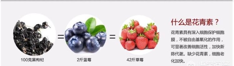 花青素的功效与作用，花青素有什么作用与功效图4