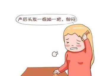 如何区别脱发类型图3