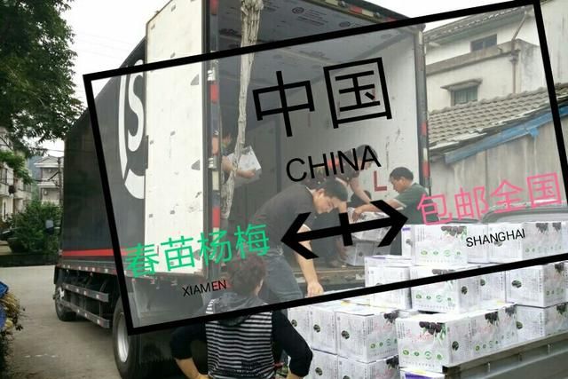 绿色健康食品图18