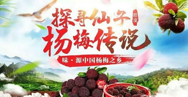 绿色健康食品图20