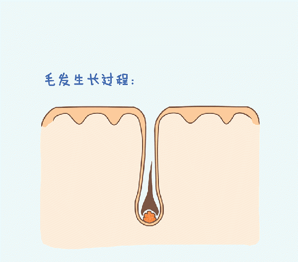 e光脱毛多少钱，脱毛蜜蜡多少钱图22