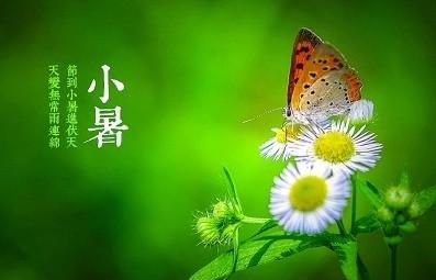 小署吃什么，小署节气吃什么好图2