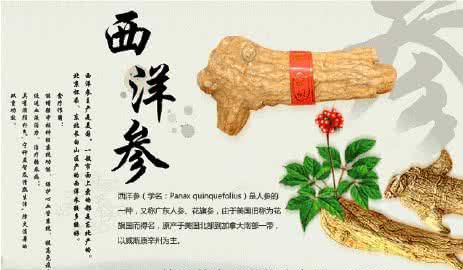 西洋参 禁忌，西洋参的禁忌食物有哪些图9