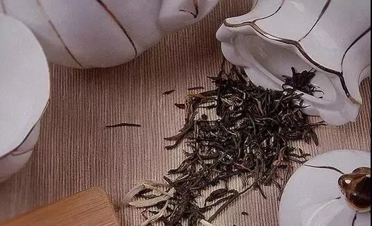 鸡尾茶的作用图1