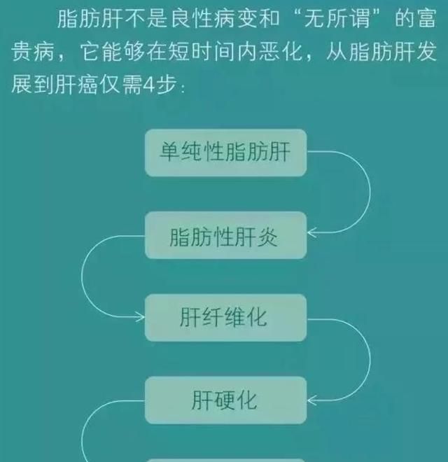脂肪肝喝什么茶图3