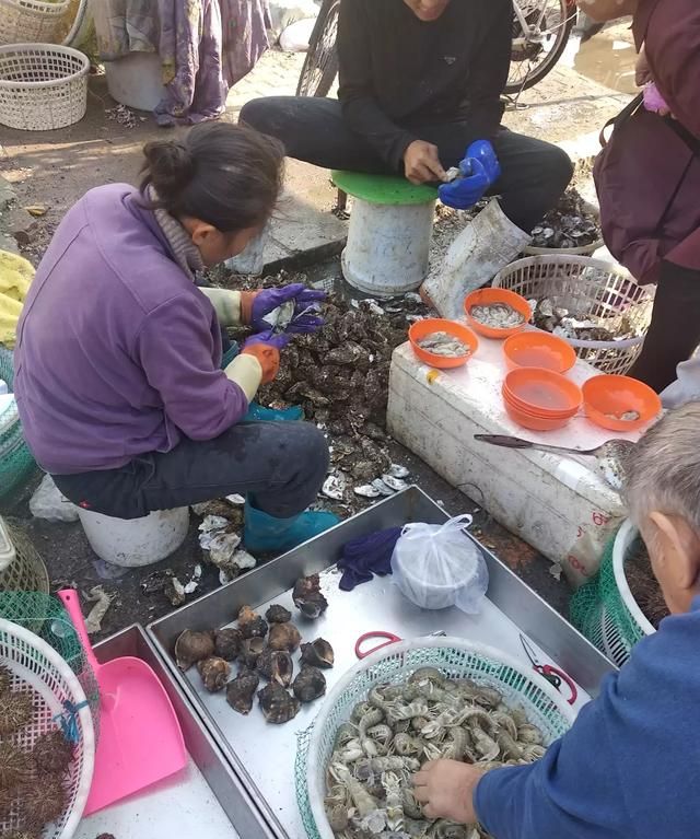 海虹与海蛎子谁的营养价值更高，是否相差无几哪种性价比更高呢图12