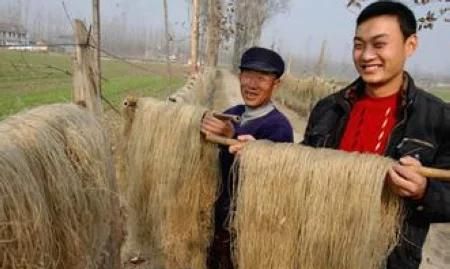 阜阳美食，阜阳都有什么美食图7