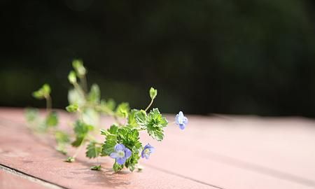 癌症4期还能活多久图1