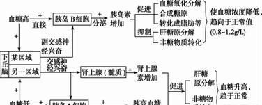 激素调节，生理活动是如何调节的图1