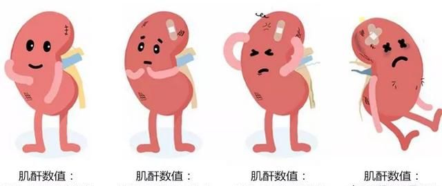 肾衰竭饮食，肾衰竭患者如何科学饮食护理图1