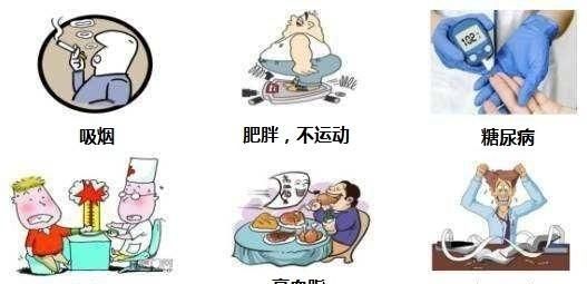 心肌缺血吃什么好，心肌缺血应该吃什么补品图3
