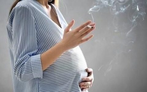 孕妇在怀孕期间有什么食物不能吃