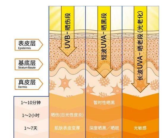 下巴皮肤粗糙，脸部毛孔粗大,皮肤粗糙油腻图2