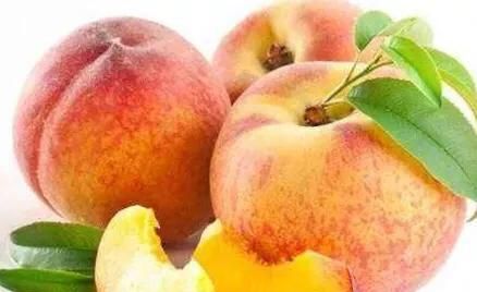 煮熟的黄桃有什么功效图1