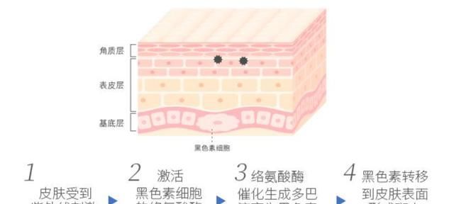 全身怎么美白，怎么样可以全身美白图1