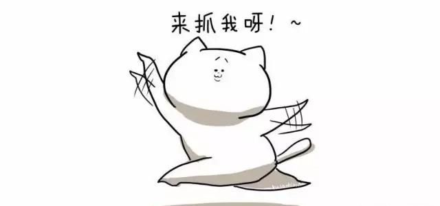 端午节要吃什么，端午节过节吃什么菜图2