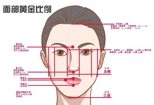 鼻子垫高整形多少钱图4