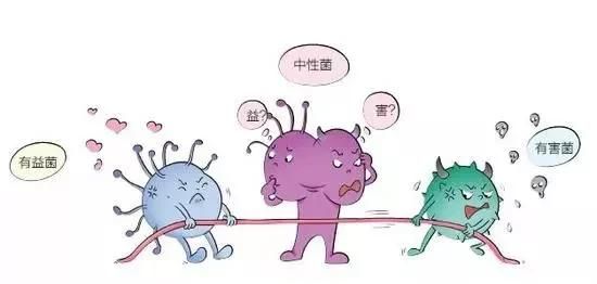 合生元的作用，宝宝吃合生元益生菌可以提高免疫力吗图4