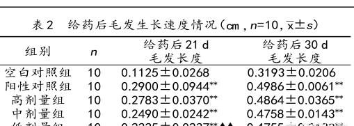 生姜能生发吗，生姜生发是真的吗图4