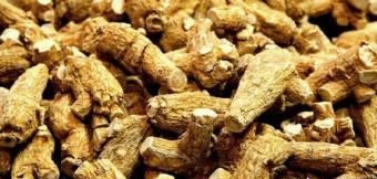 吃什么食物可以消除疲劳图9