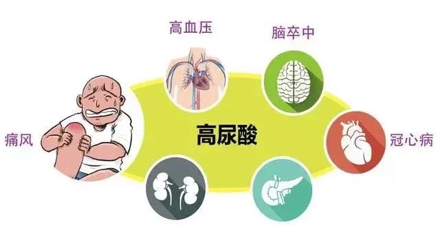 如何通过调整饮食排出肾结石图4